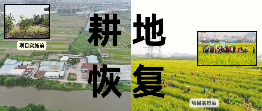 耕地；び刖梅⒄构踩凇褐惺泻窠终蛩谏缜读继锵钅扛馗丛氤窍缛诤系拇葱率导